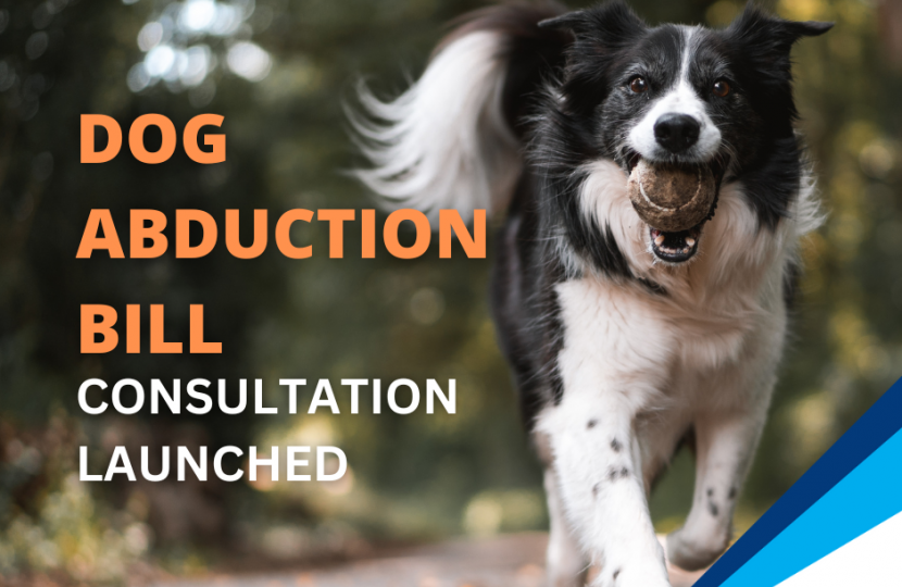Graphic that says "Dog Abduction Bill consultation launched" with a black and white dog bounding happily in the background.