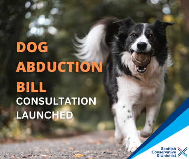 Graphic that says "Dog Abduction Bill consultation launched" with a black and white dog bounding happily in the background.